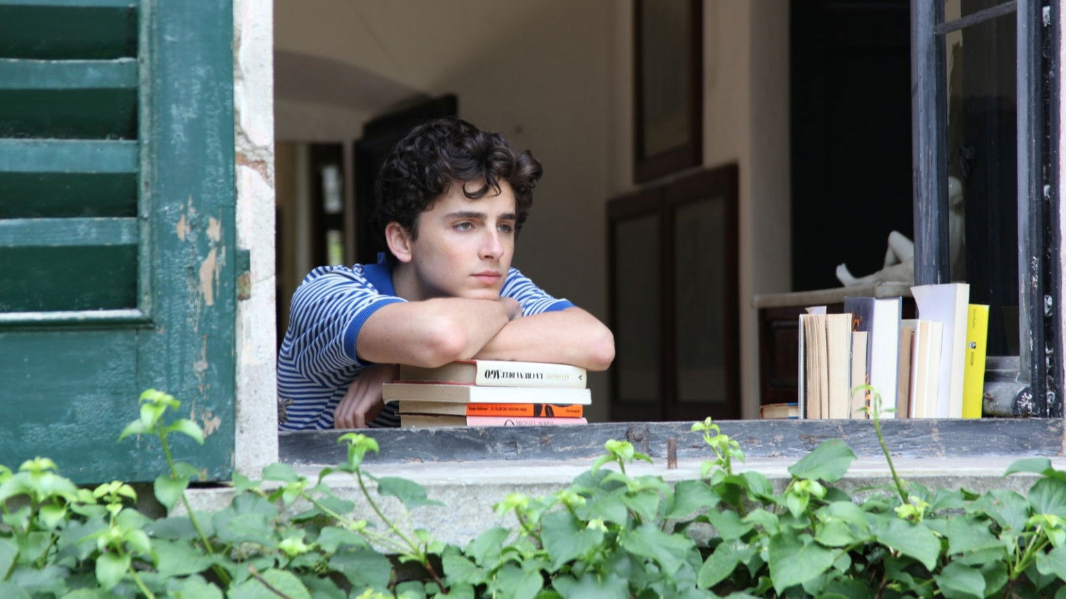 Productie van Bob Dylan-biopic met Timothée Chalamet uitgesteld voor onbepaalde tijd