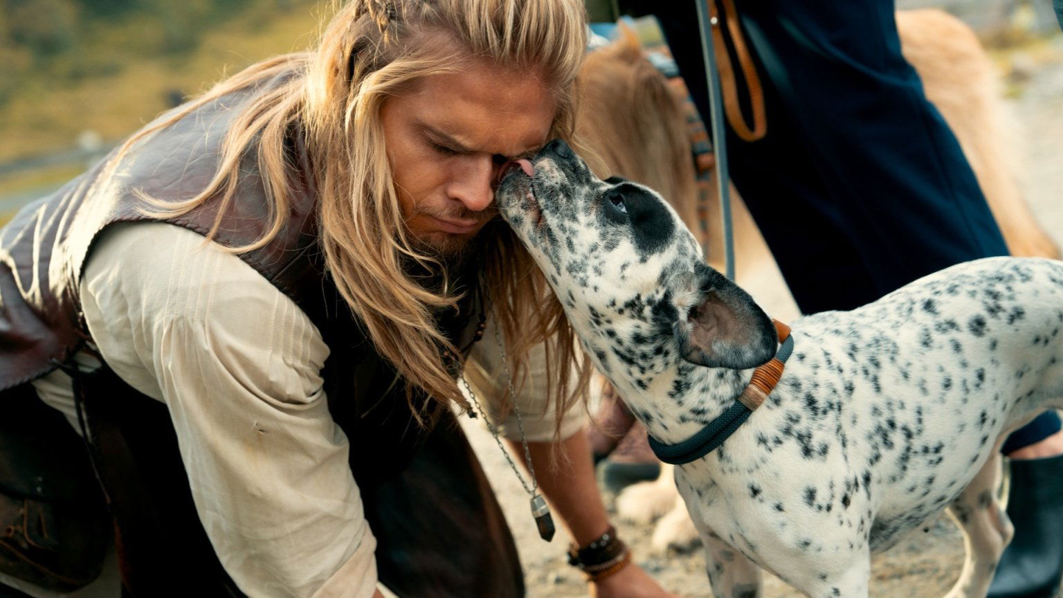 'Eat Pray Bark' vanaf volgende week op Netflix: alles over de nieuwe hondenfilm