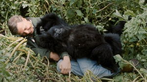 Netflix deelt de trailer van nieuwe dierendocu met David Attenborough