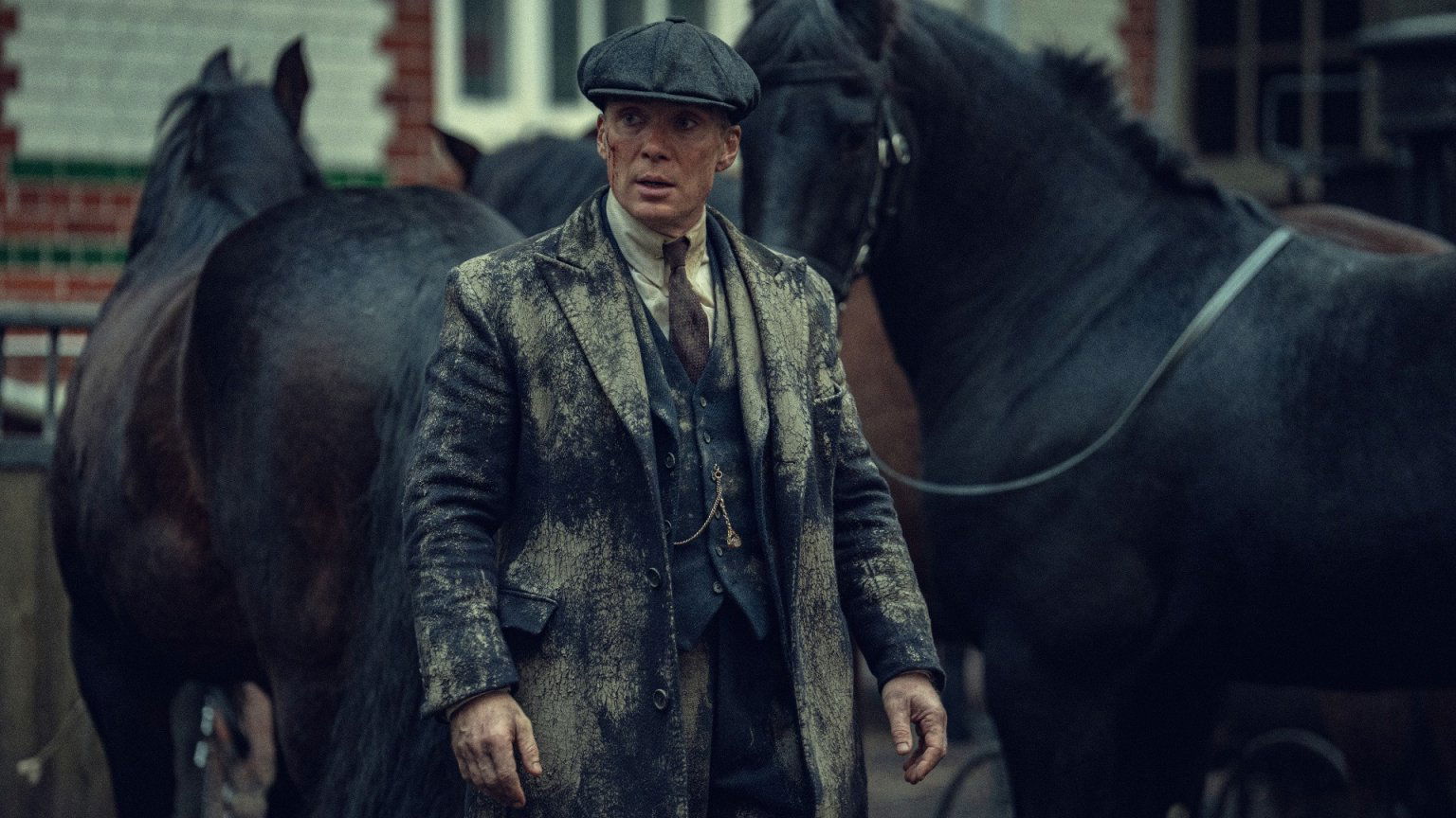 Ruim 25 miljoen kijkers voor nieuwe Netflix-film met Cillian Murphy: 'Bravo!'