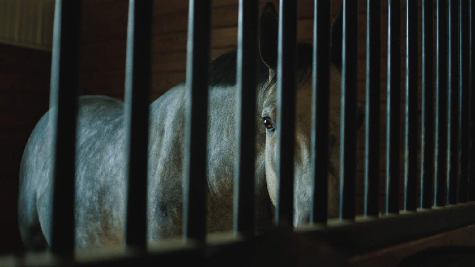 Nieuwe true crime-docu over gewelddadige vete nu te zien op Netflix