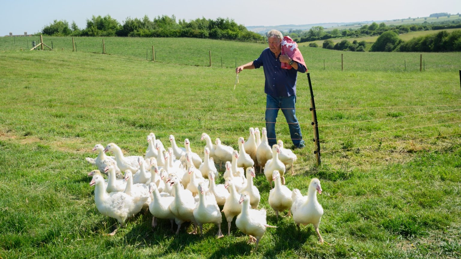 Vijfde seizoen 'Clarkson's Farm' heeft een releasedatum te pakken