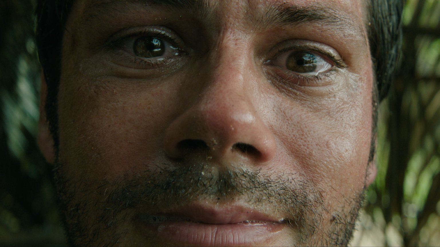 Sam Raimi's horrorfilm 'Send Help' heeft een releasedatum op Disney+