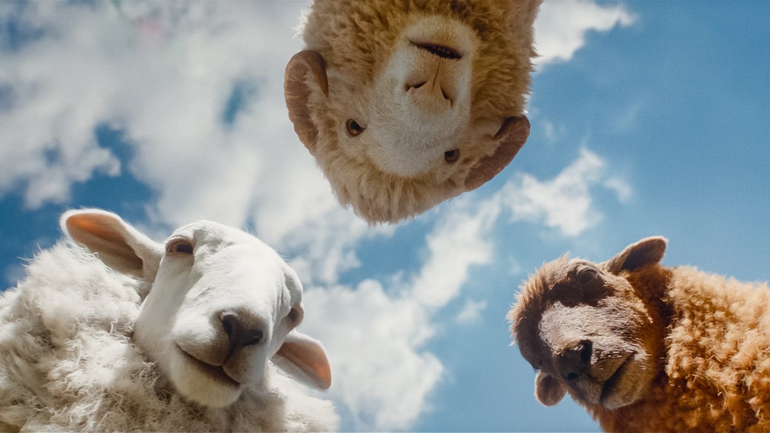 Deze 10+ films zijn vanaf deze week nieuw in de bioscoop (week 19, 2026)