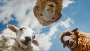 Deze 10+ films zijn vanaf deze week nieuw in de bioscoop (week 19, 2026)