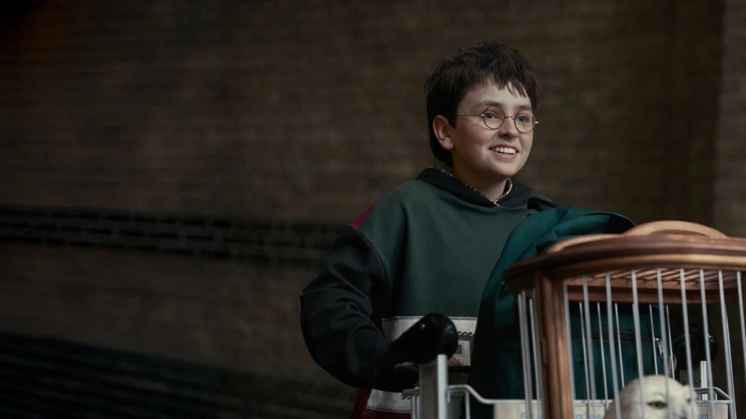 Nieuwe 'Harry Potter'-serie officieel verzekerd van vervolgseizoen