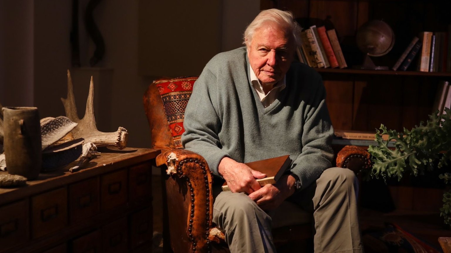 Sir David Attenborough 100 jaar: dit zijn de 5 beste natuurdocu's van de iconische Brit