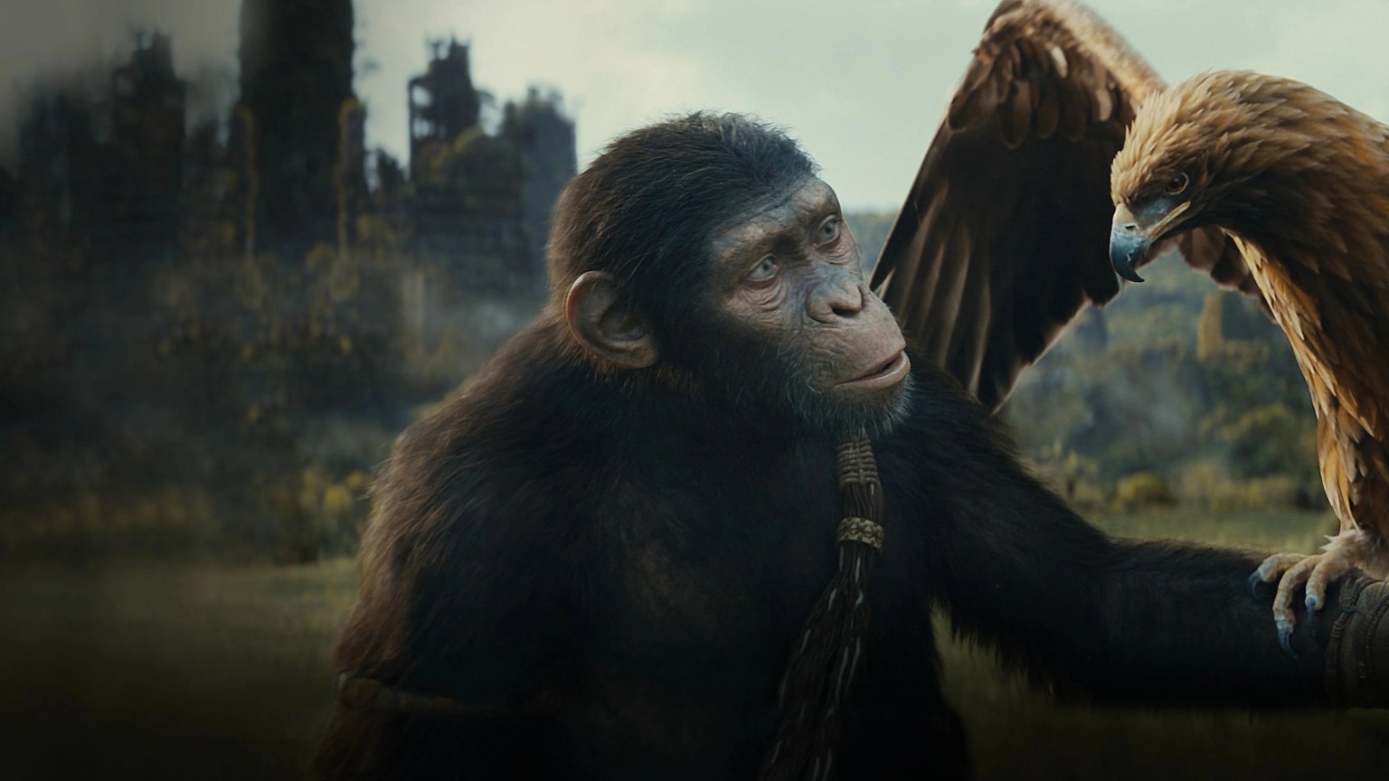 Nieuwe 'Planet of the Apes'-film in de maak