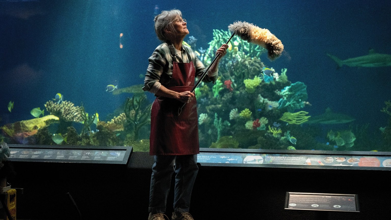 Klaar met 'Remarkably Bright Creatures'? Bekijk ook deze 5 hartverwarmende films op Netflix