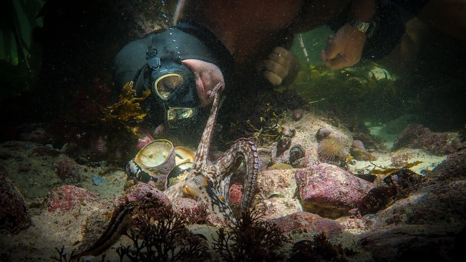 Hoge score voor bijzondere documentaire op Netflix: 'Overweldigend!'