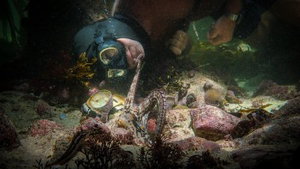 Hoge score voor bijzondere documentaire op Netflix: 'Overweldigend!'
