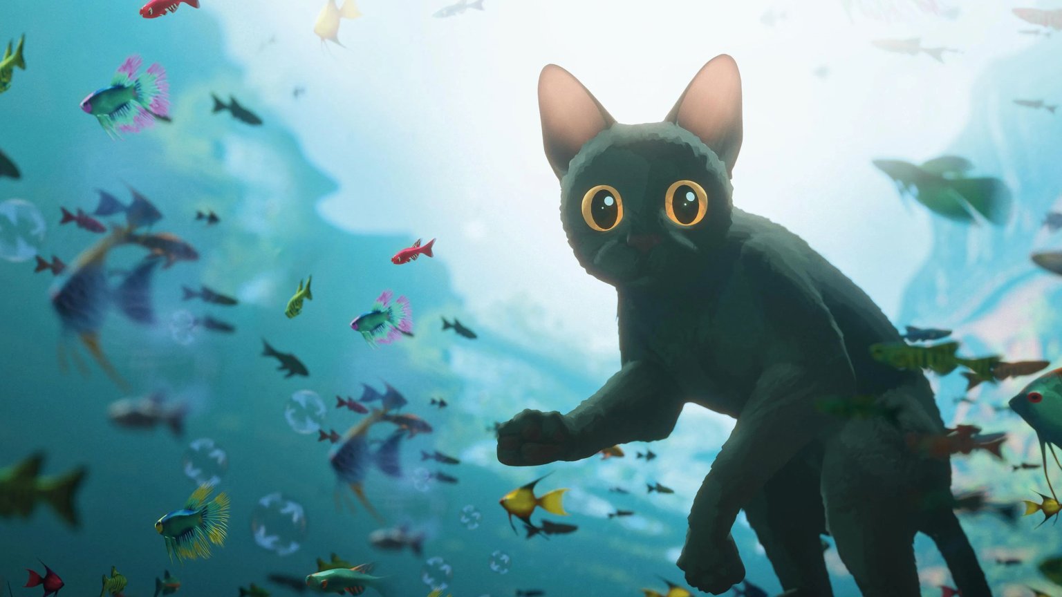 Op Netflix kijk je nu naar de Oscarwinnende animatiefilm 'Flow'