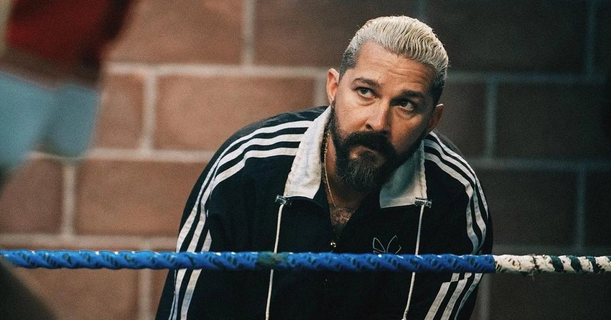‘Transformers’ star pleads guilty to assault and is sentenced ‘Transformers’ star pleads guilty to assault and is sentenced