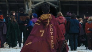 Harry Potter-serie cast nu cruciale rol voor tweede seizoen