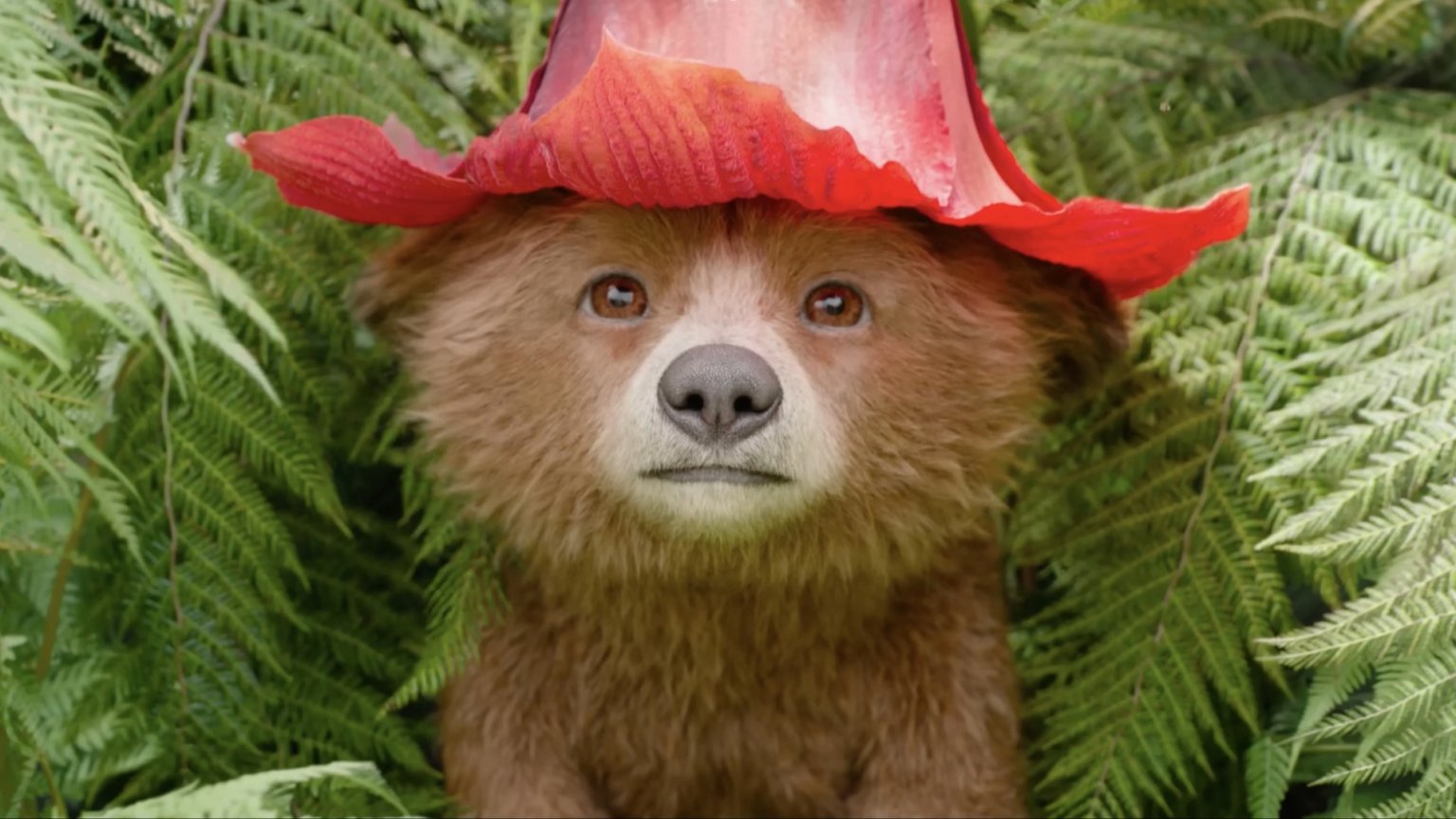 Geliefde familiefilm 'Paddington in Peru' komt binnenkort naar Netflix