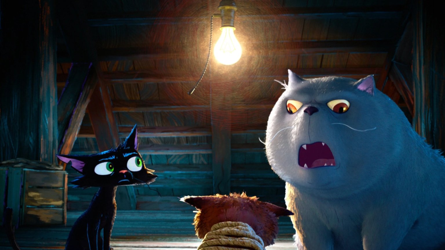 Dít is de allernieuwste animatiefilm van Disney Pixar: eerste teaser van 'Gatto' nu al onthuld