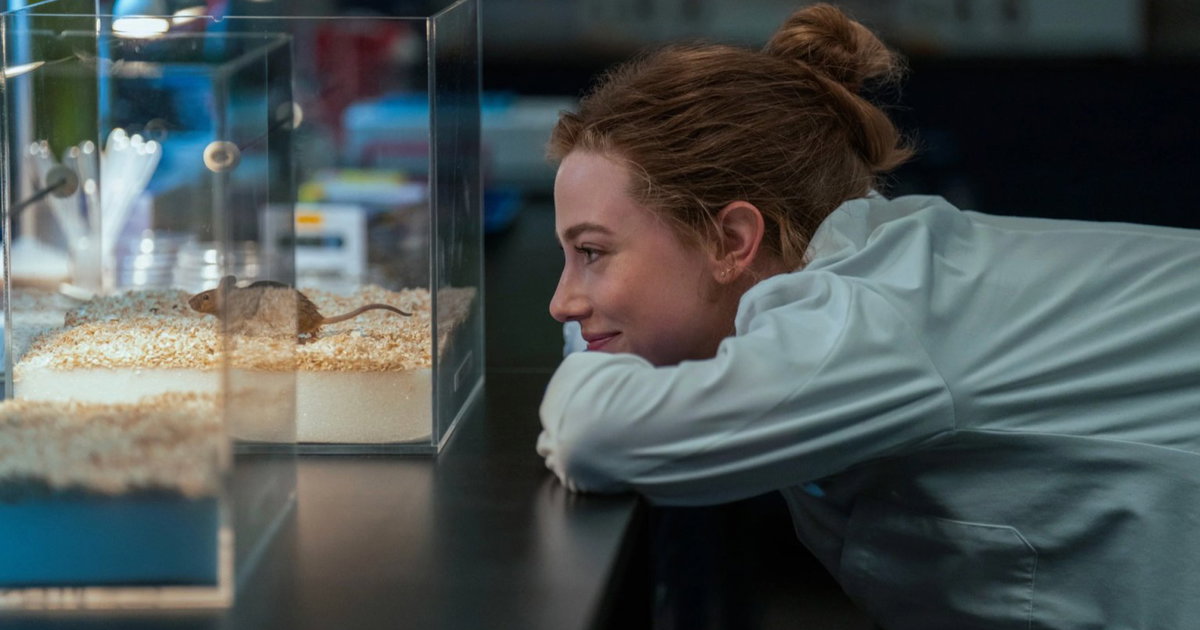 Prime Video stunt with new book adaptation: release date of ‘The Love Hypothesis’ revealed Prime Video stunt with new book adaptation: release date of ‘The Love Hypothesis’ revealed