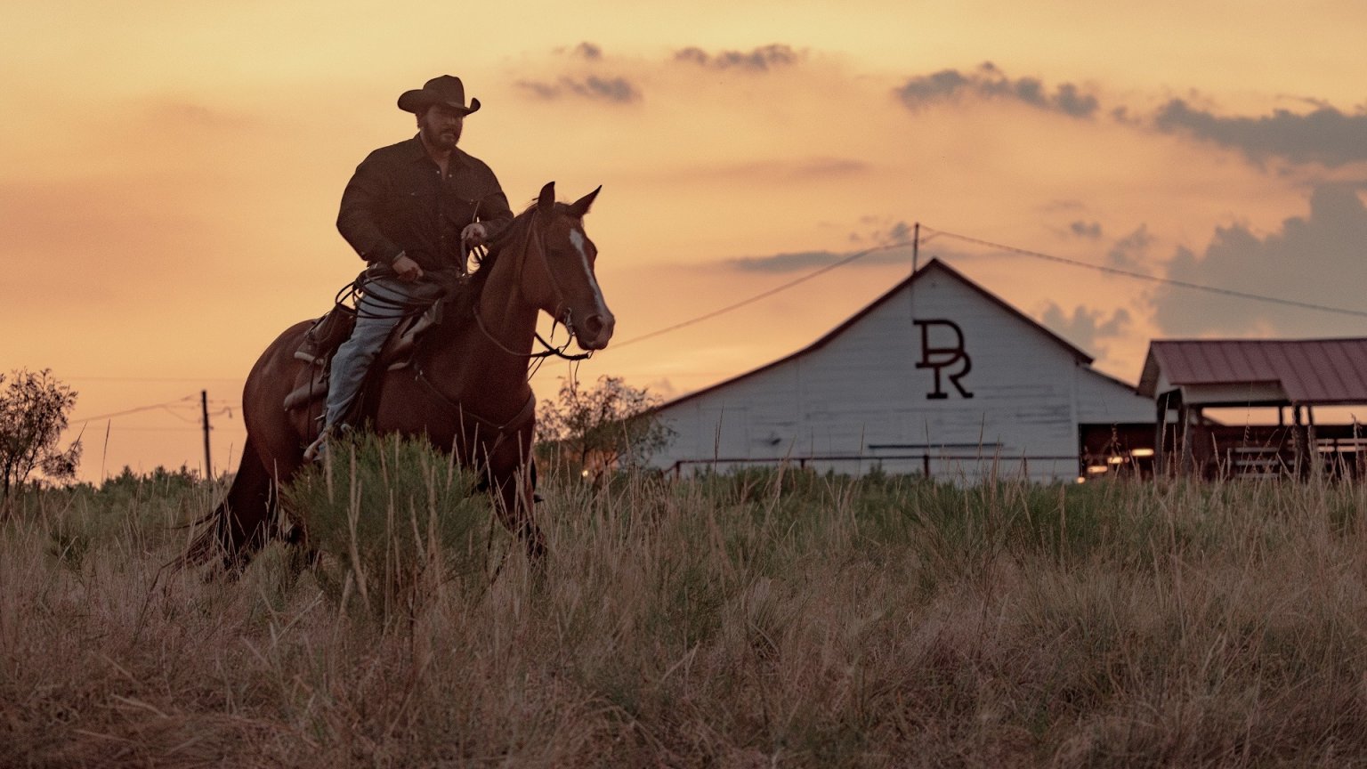 'Yellowstone'-serie 'Dutton Ranch krijgt een tweede seizoen op steraming