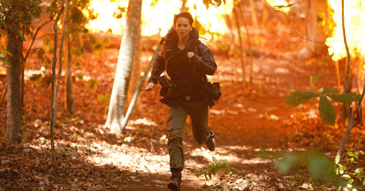Netflix will remove all original parts of the popular ‘Hunger Games’ series next week