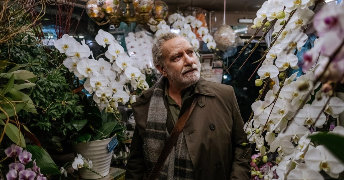 Recently available to stream on Netflix: intimate drama film with a 93% score can now be seen Recently available to stream on Netflix: intimate drama film with a 93% score can now be seen