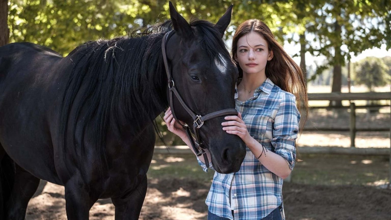 Disney+ presenteert klassieker 'Black Beauty' in een nieuw jasje