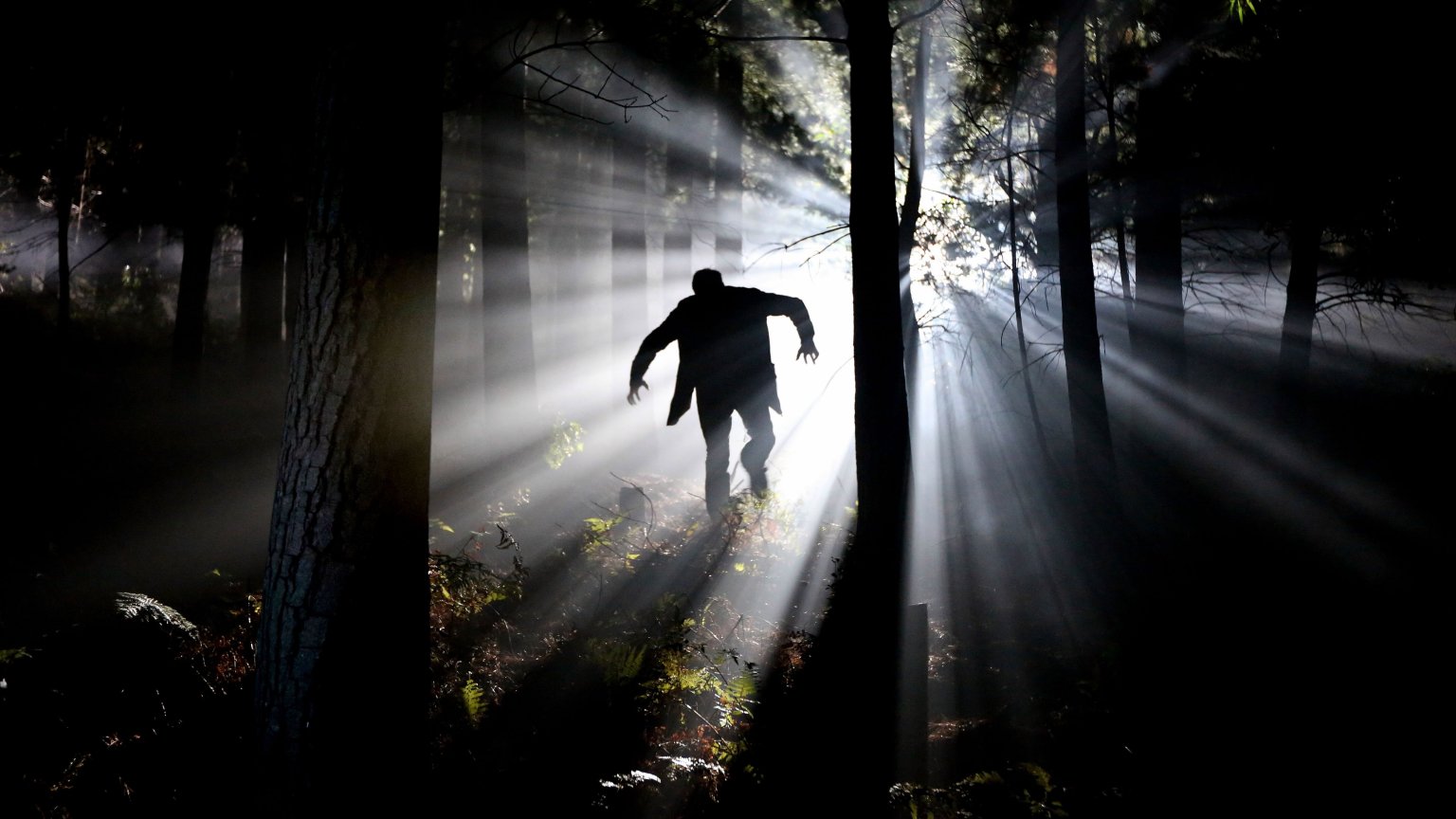 YouTube-horror met miljoenenpubliek krijgt verfilming met Steven Spielberg als producent