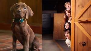 Netflix rondt opnames van eerste seizoen 'Scooby-Doo: Origins' af