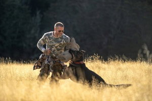 Bioscoopfilm met hond in hoofdrol ontroert bezoekers tot tranen: 'Vraag om extra tissues'