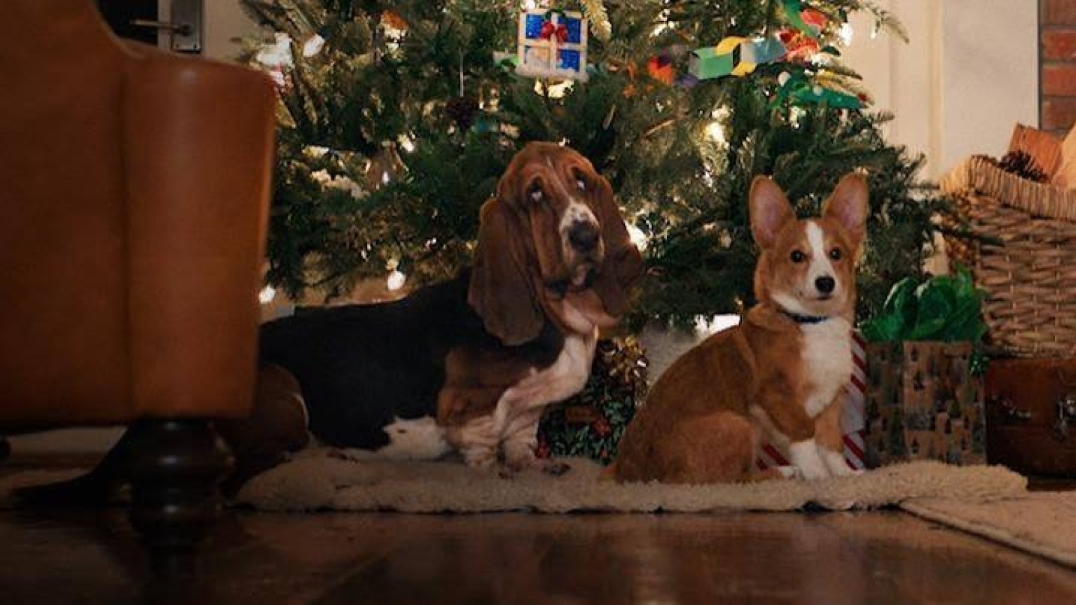 Netflix trapt het kerstseizoen af met 'A Dog's Perfect Christmas': bekijk hier de trailer