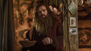 HBO Max onthult splinternieuwe poster van 'Harry Potter'-serie