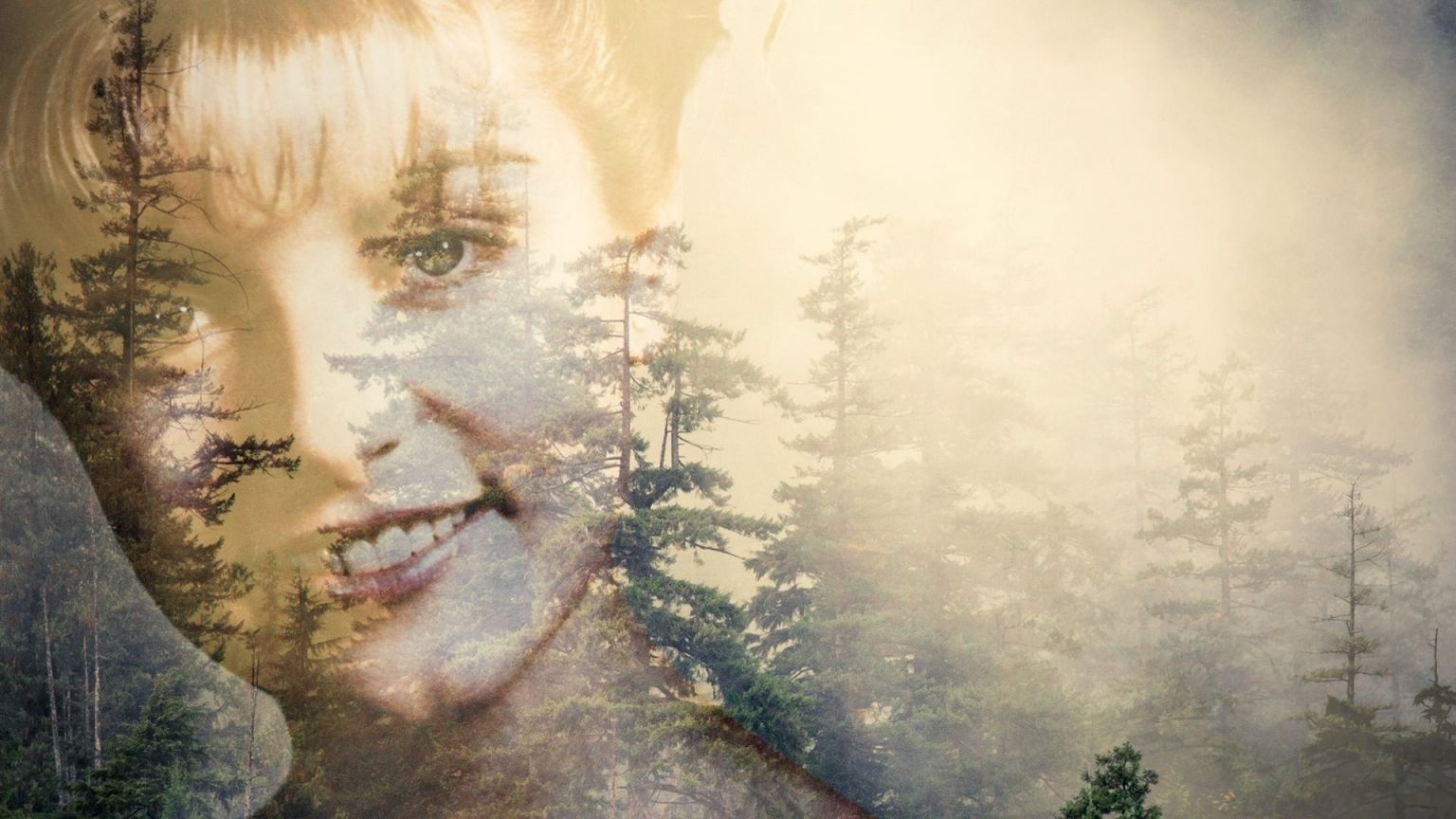 Gerucht: David Lynch werkt samen met Netflix voor serie 'Wisteria'