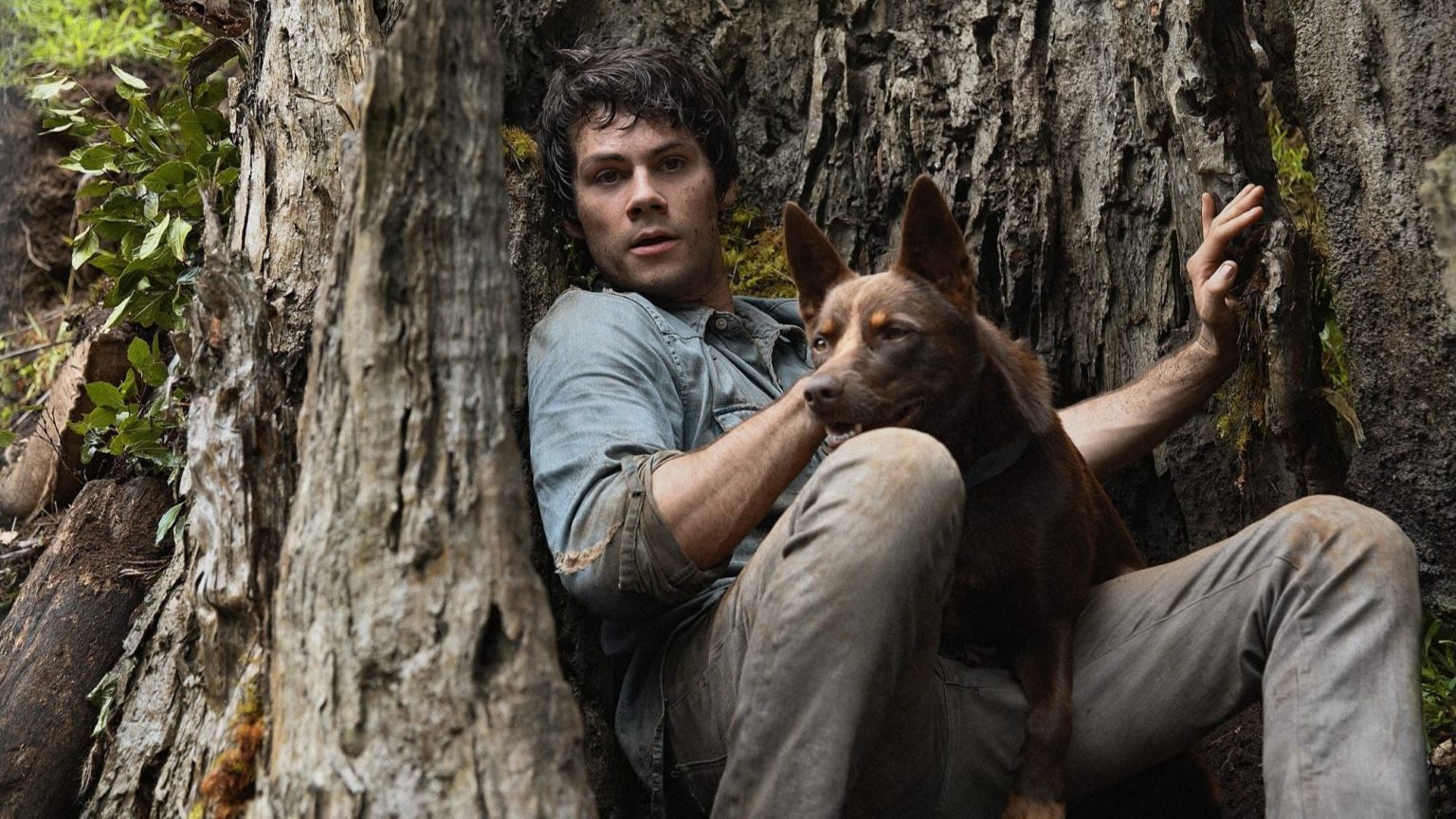 'Love and Monsters' met Dylan O'Brien komt in 2021 rechtstreeks naar Netflix