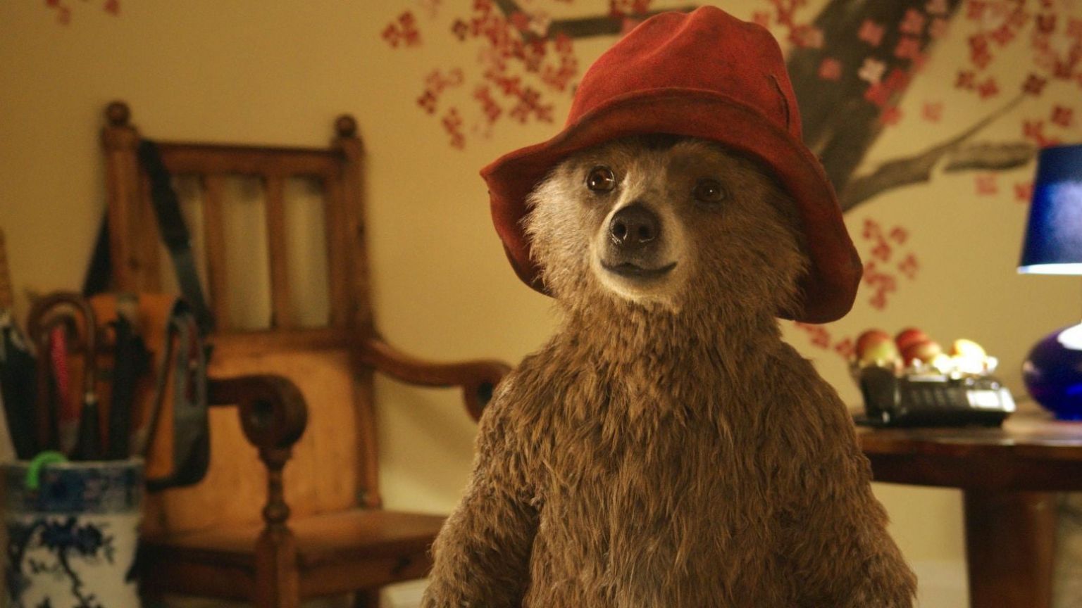 Vanavond op tv: familiekomedie 'Paddington' met Hugh Bonneville en Sally Hawkins