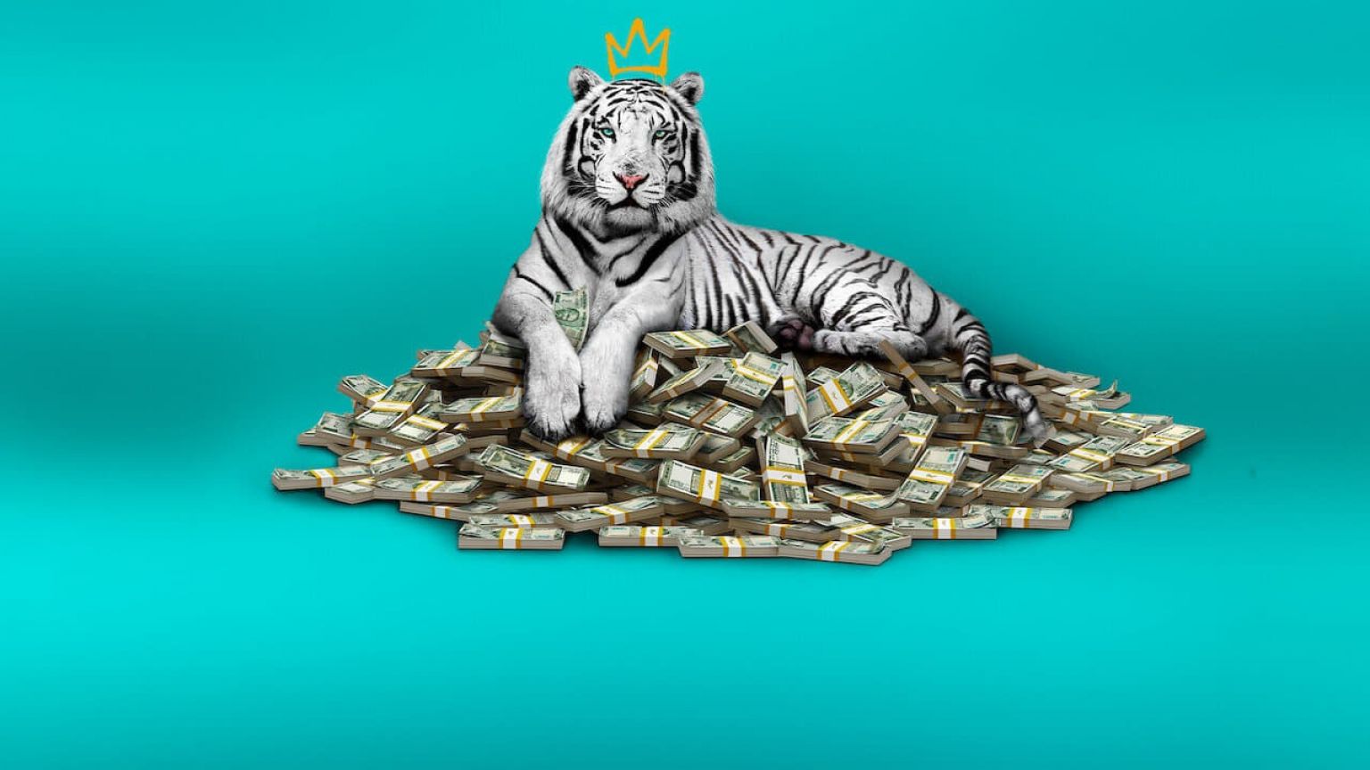 Dramafilm 'The White Tiger' nu te zien op Netflix
