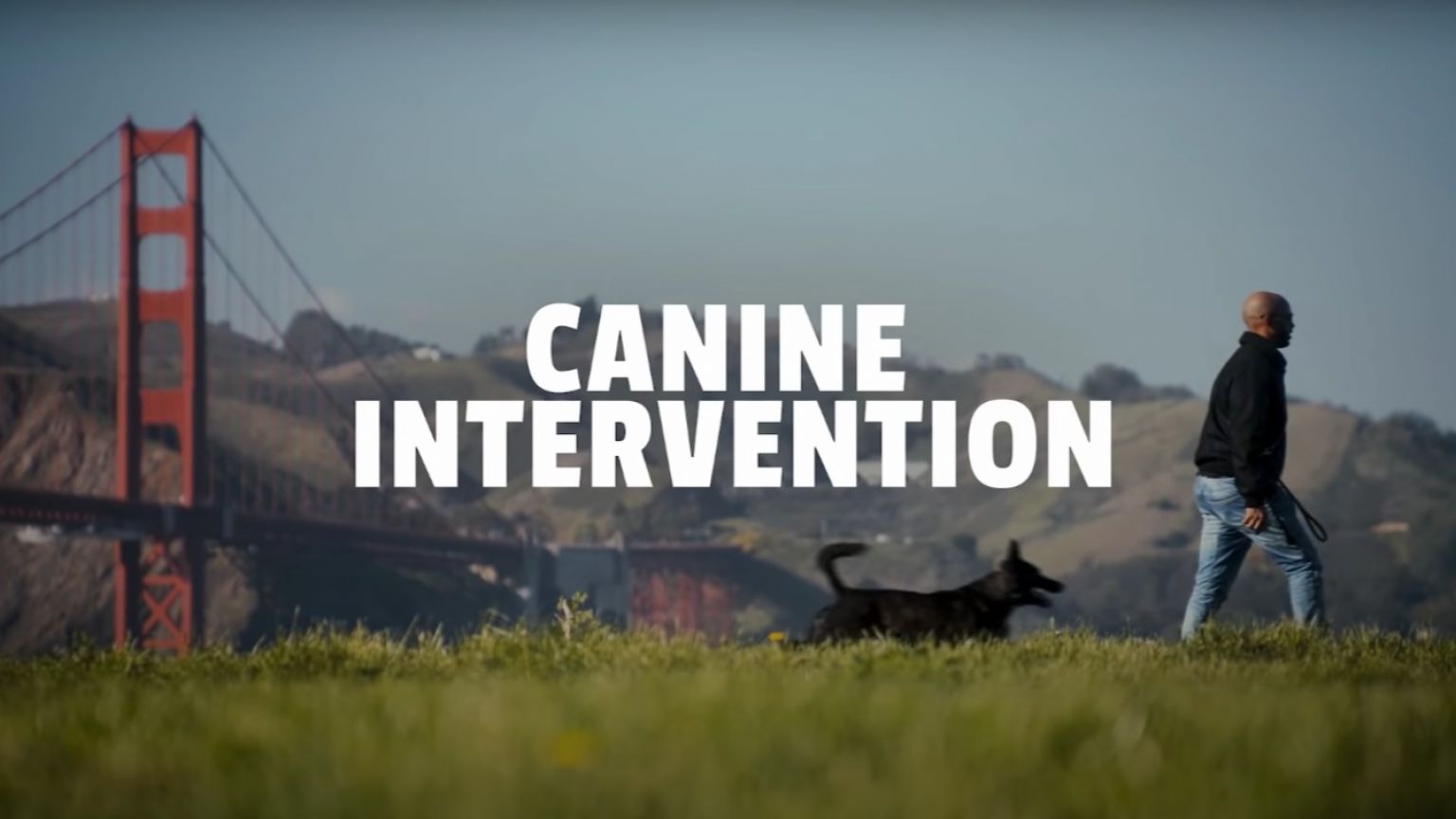 Netflix deelt trailer van 'Canine Intervention', een realityserie over intensieve hondentraining
