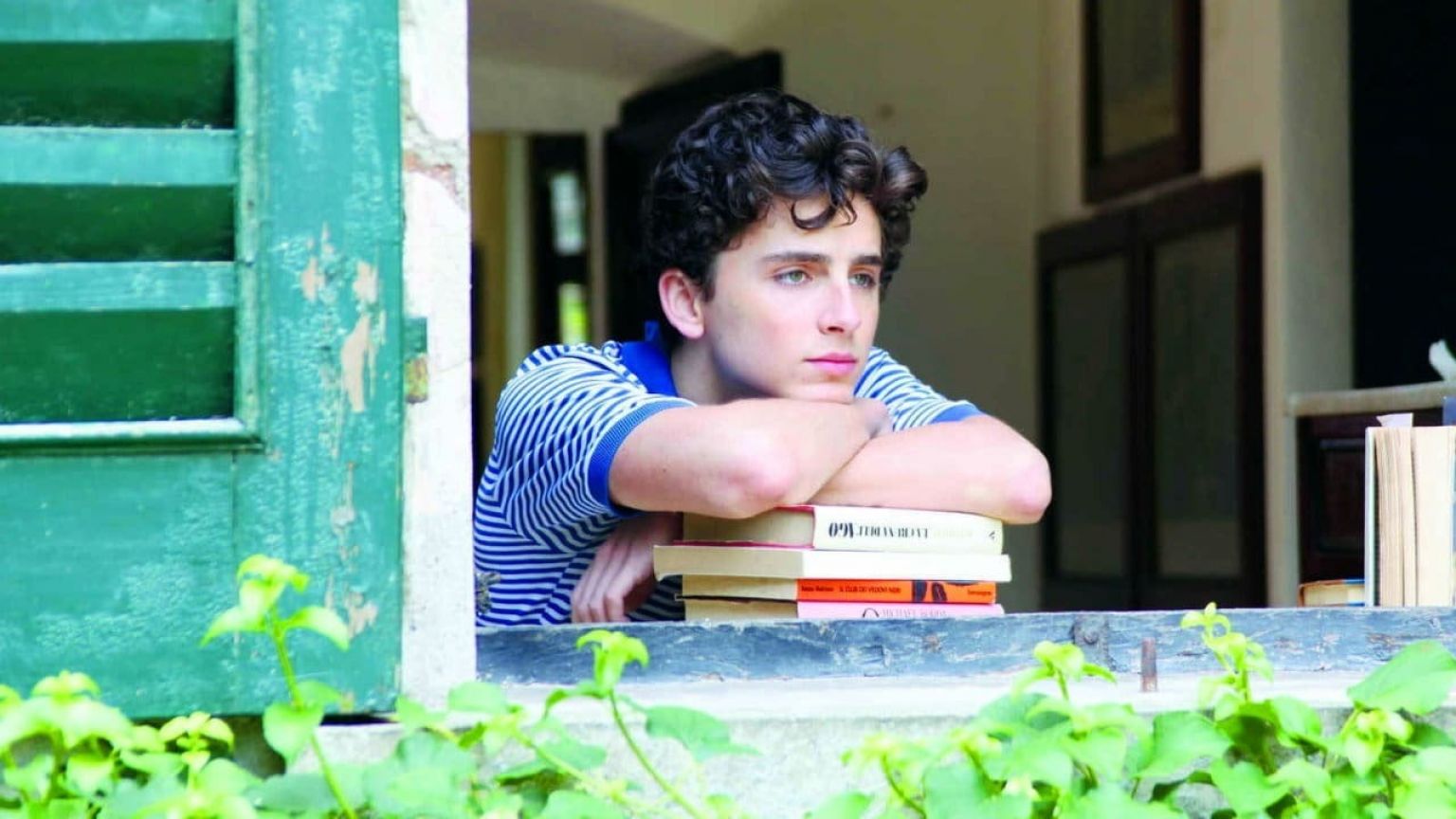 Luca Guadagnino heeft nieuw project 'Bones & All' op het oog met Timothée Chalamet en Taylor Russell