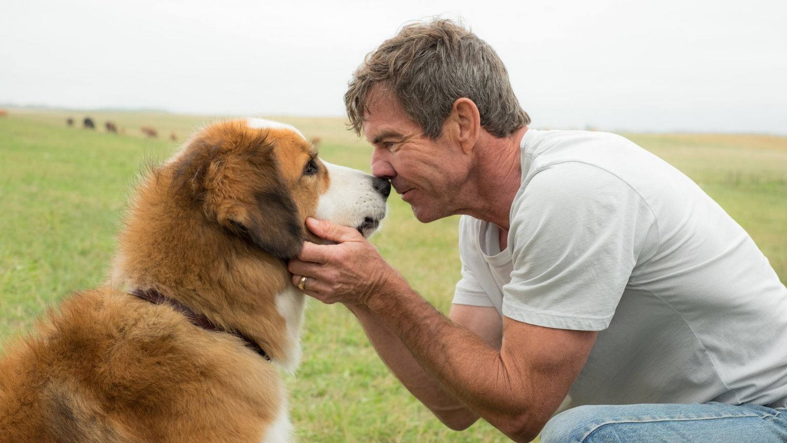 Netflix koopt de rechten van biografische dramafilm 'Blue Miracle' met Dennis Quaid