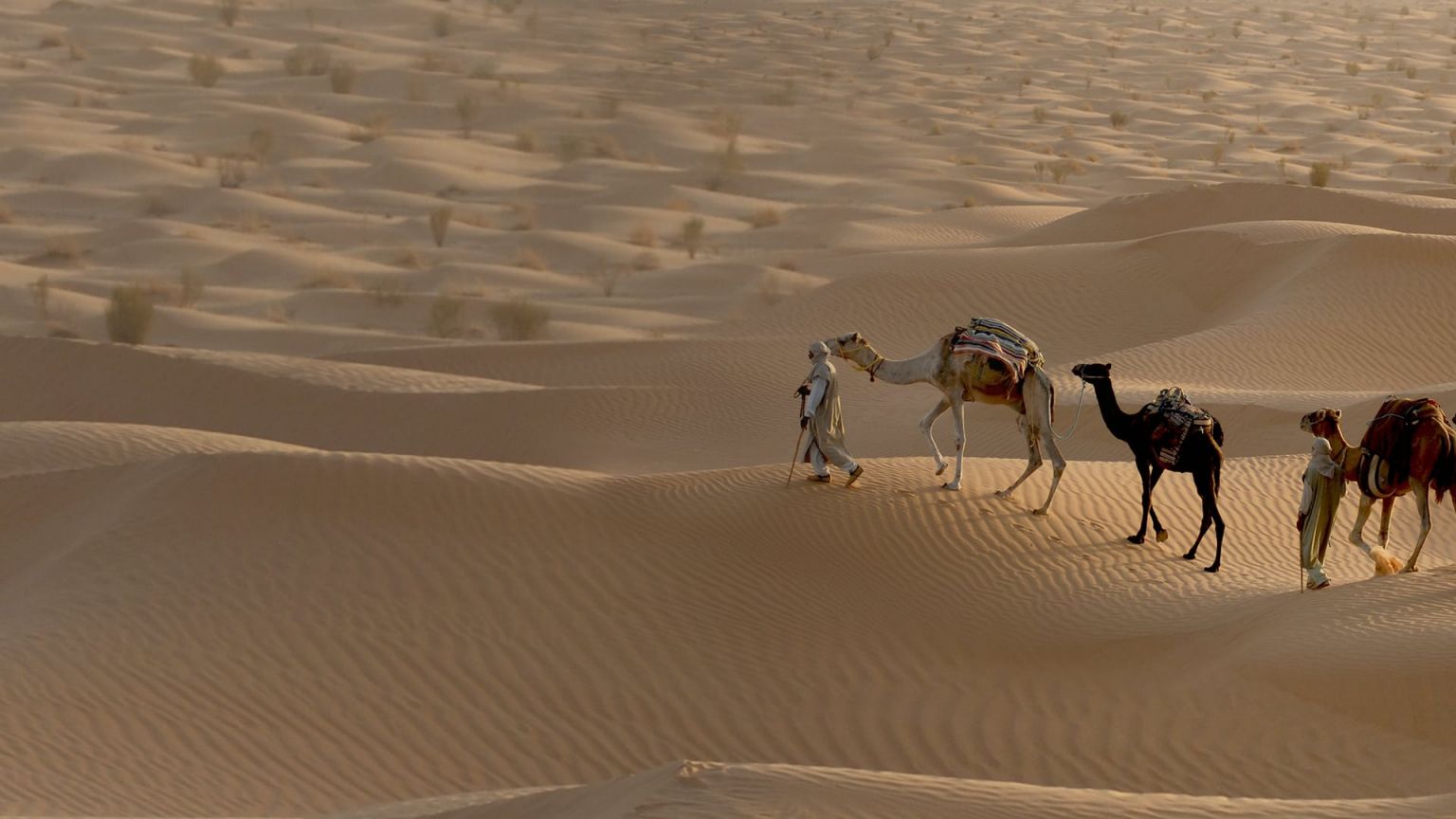 Nieuw op Disney+: documentaireserie 'Africa's Hidden Wonders' van National Geographic