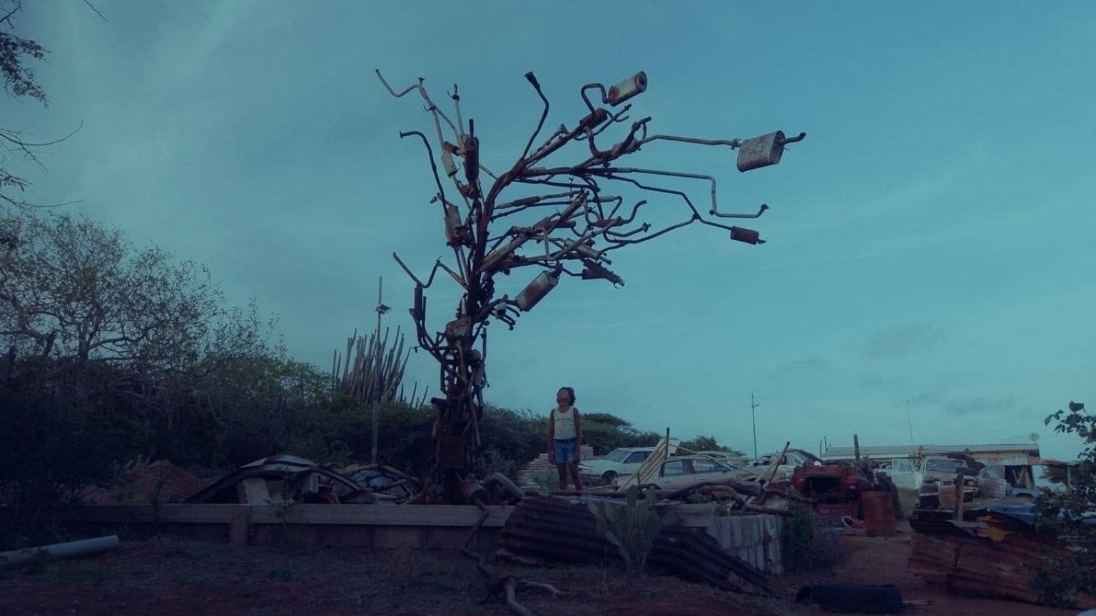 'Buladó' wint prijs voor beste jeugdfilm tijdens kinderfilmfestival in New York