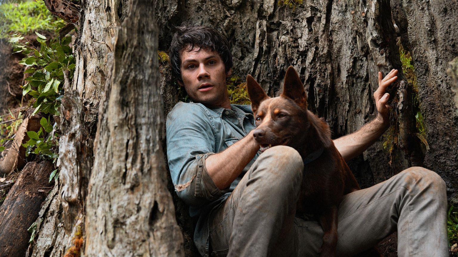 Nieuw op Netflix: Dylan O'Brien in avontuurlijke monsterfilm 'Love and Monsters'