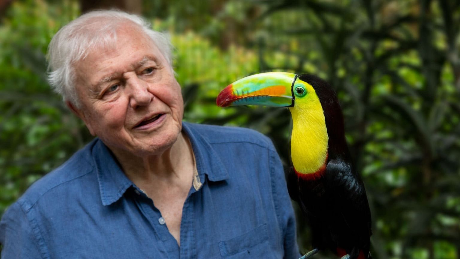 Documentaireserie 'Life in Colour with David Attenborough' nu te zien op Netflix