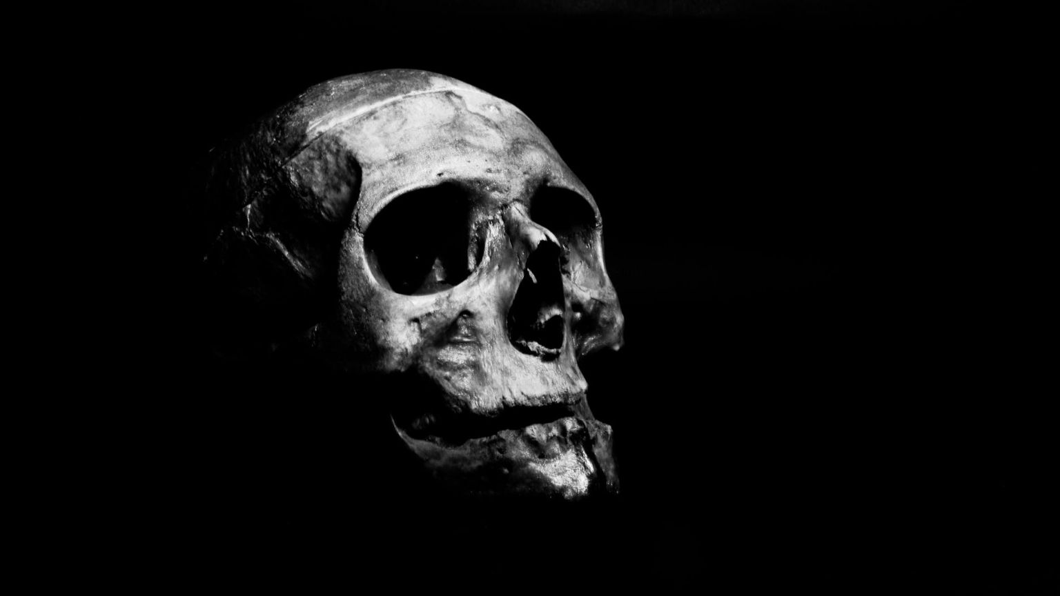 'Escape Room'-regisseur werkt aan nieuwe spannende horrorserie voor Netflix