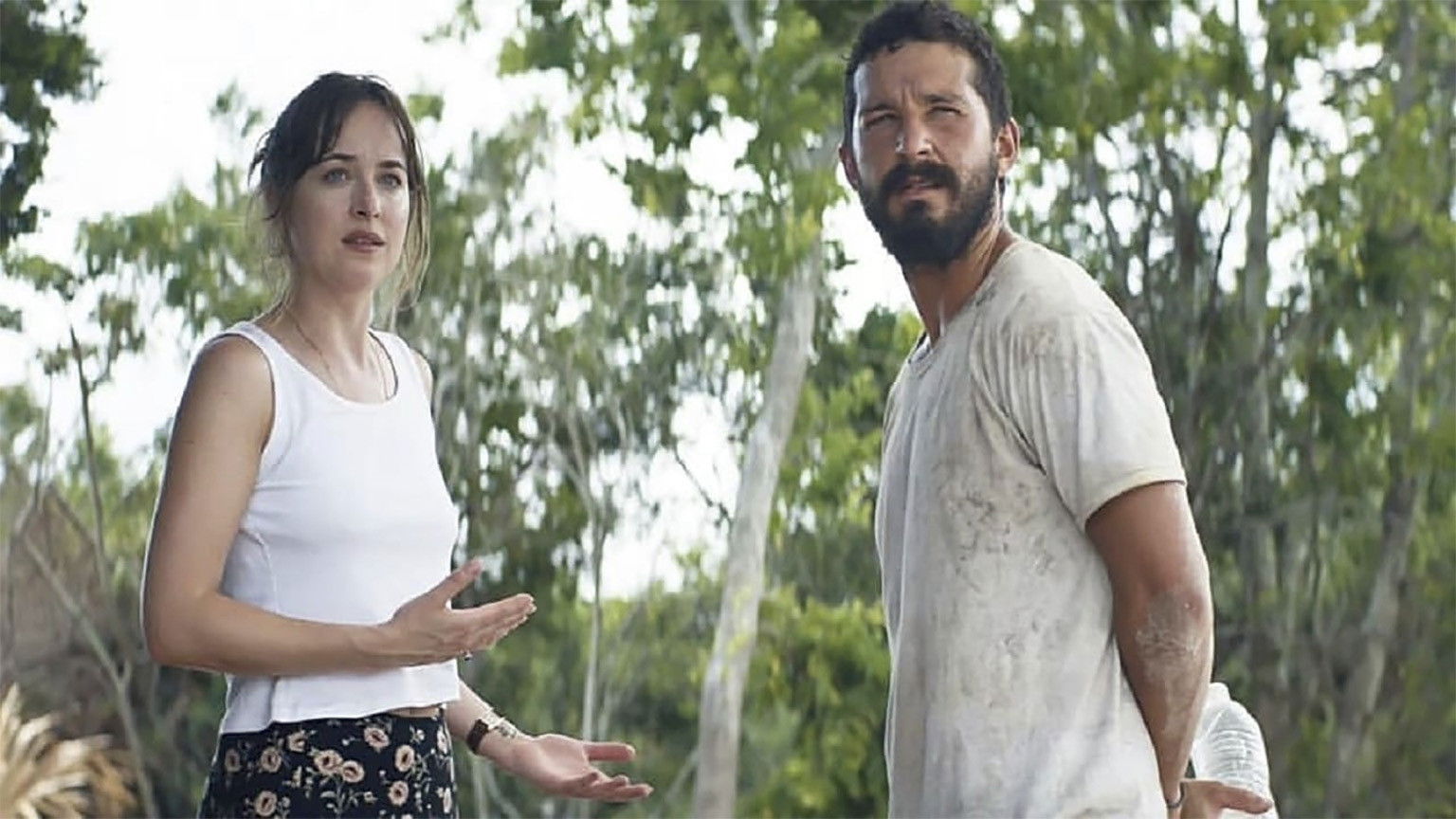 Dakota Johnson sluit zich aan bij de film 'Don't Worry, Darling' van Olivia Wilde
