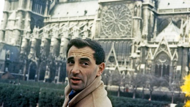 Recensie 'Aznavour, le regard de Charles'
