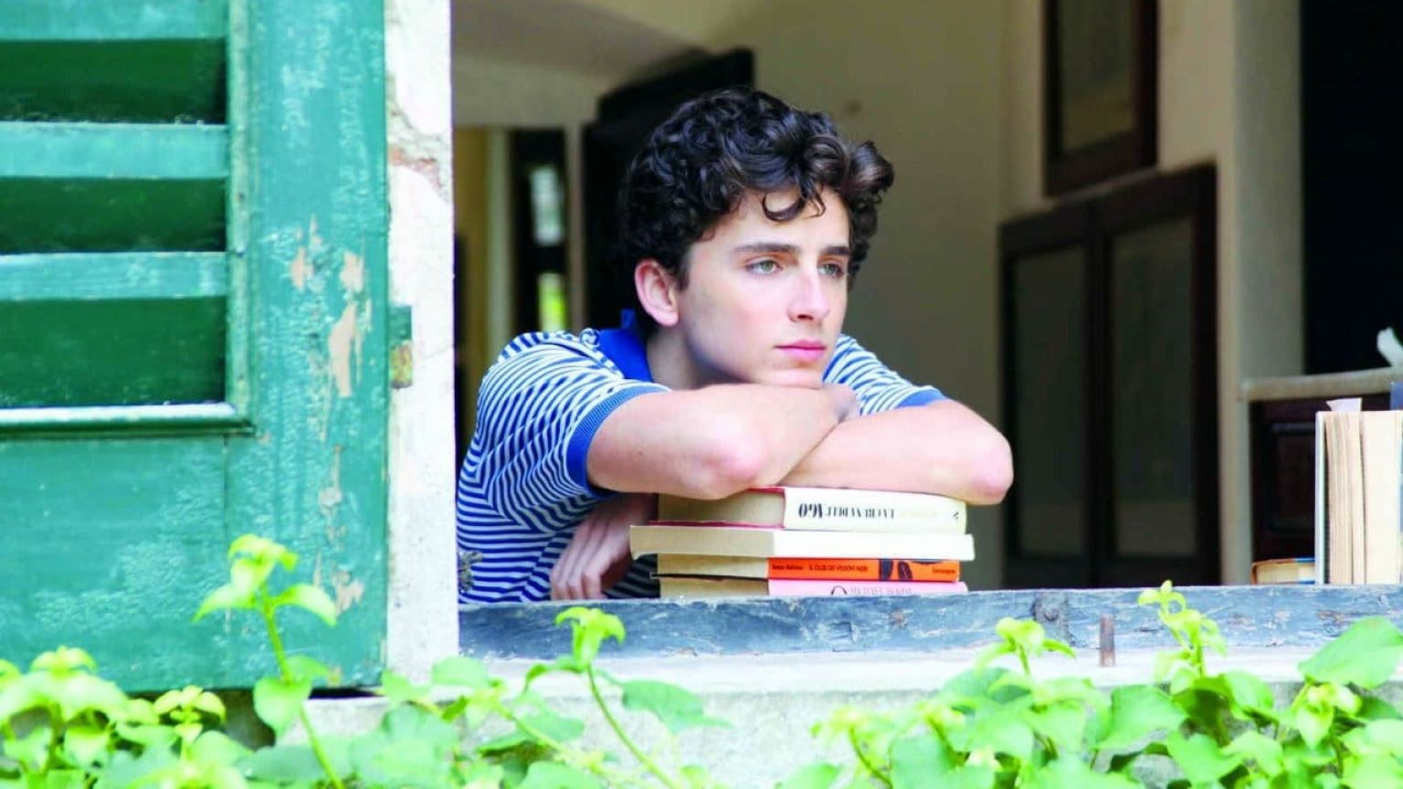 Opnames van de film 'Bones & All' met Timothée Chalamet zijn afgerond