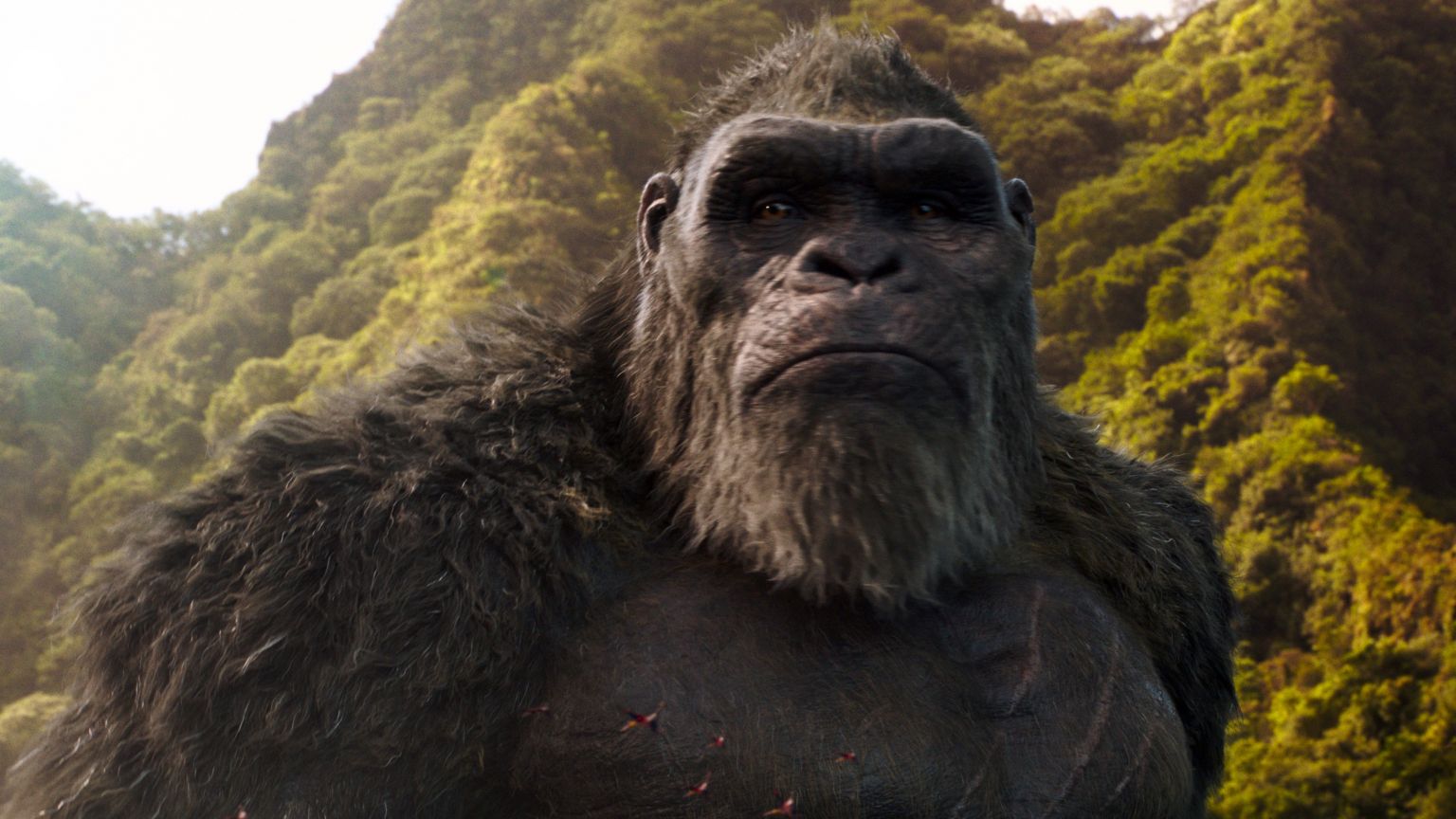 De top 10 populairste films nu op Pathé Thuis