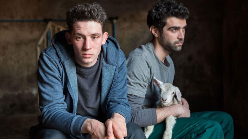 Vanavond op tv: romantische dramafilm 'God's Own Country'