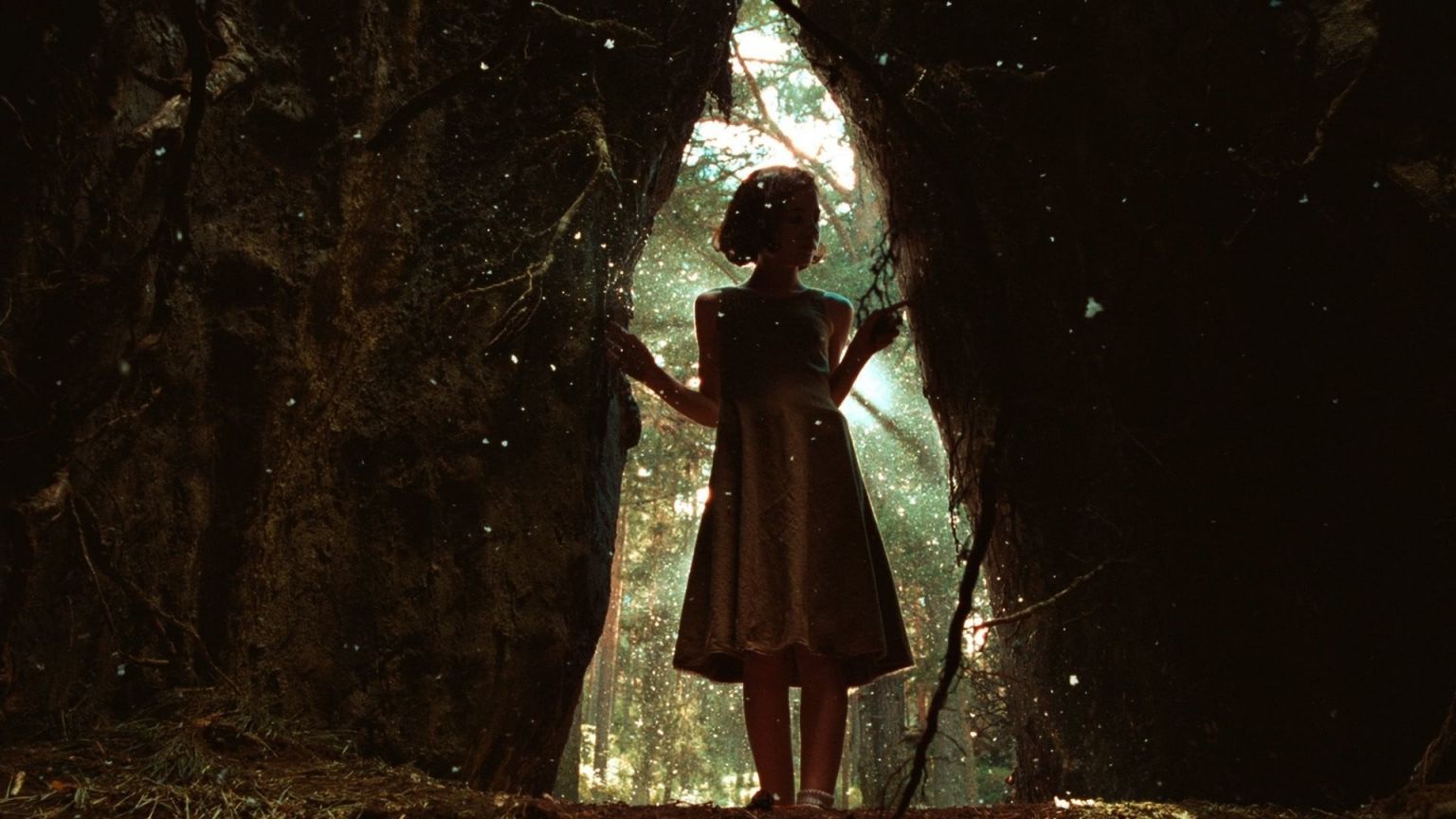 Netflix kondigt nieuwe serie aan 'Guillermo del Toro's Cabinet of Curiosities' van de Oscarwinnende regisseur