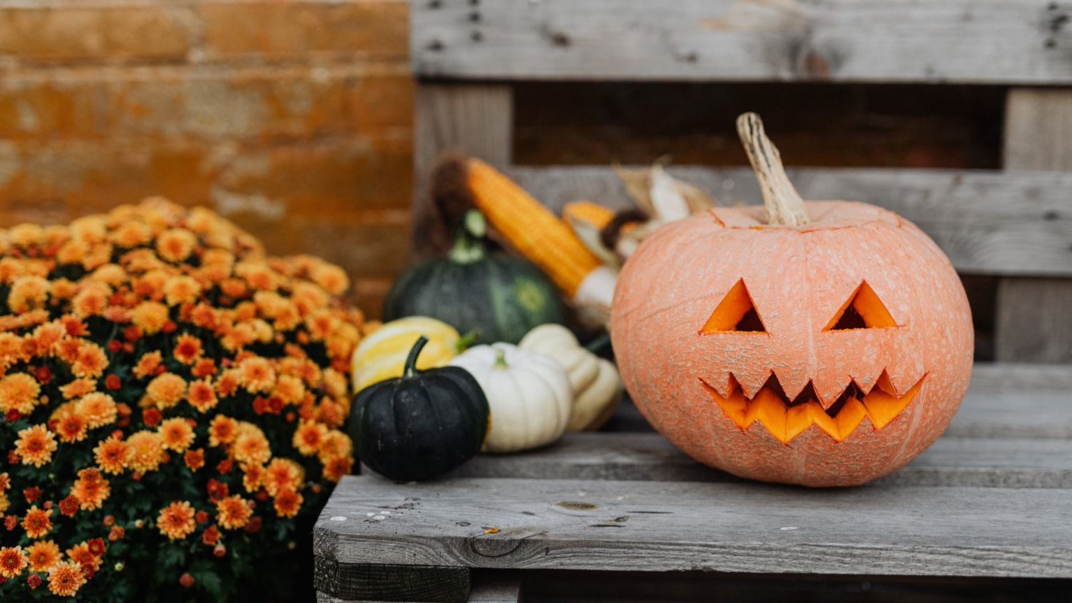 Netflix maakt halloweenfilm 'Boo!' met Marlon Wayans en 'Stranger Things'-ster Priah Ferguson