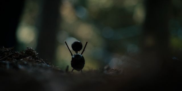 Afbeelding via Netflix